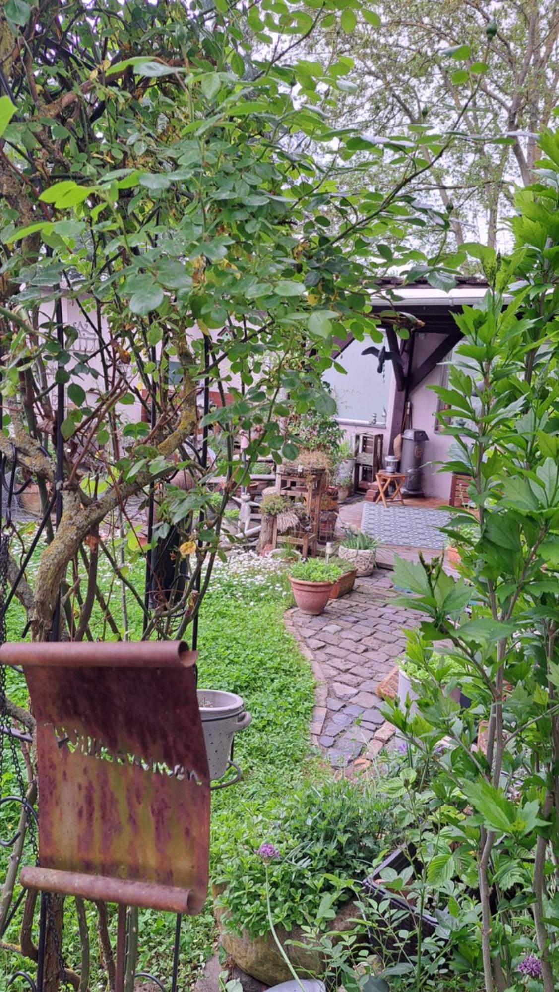 Ferienwohnung Vogt Mertloch ภายนอก รูปภาพ