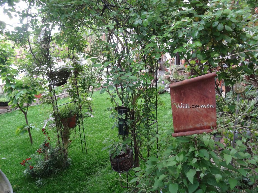Ferienwohnung Vogt Mertloch ภายนอก รูปภาพ
